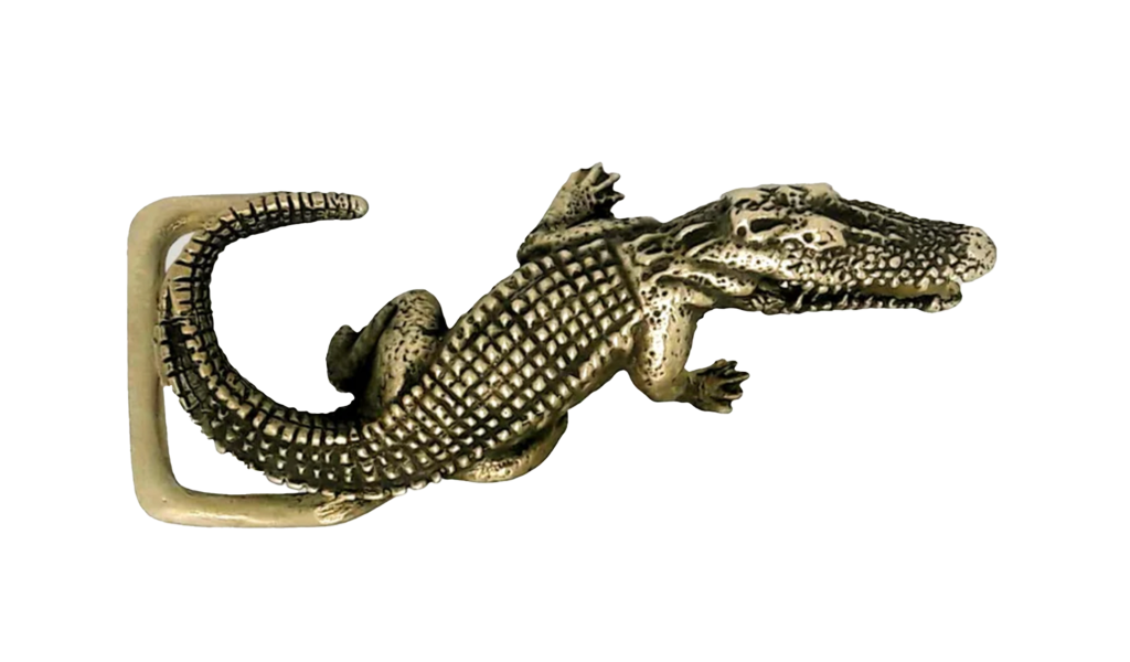 Alligator Buckle