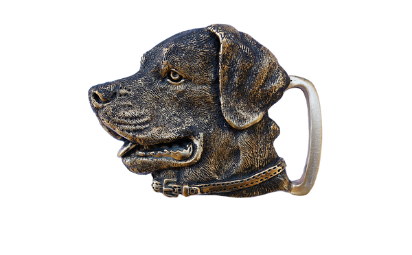 Labrador 2024 dog belt