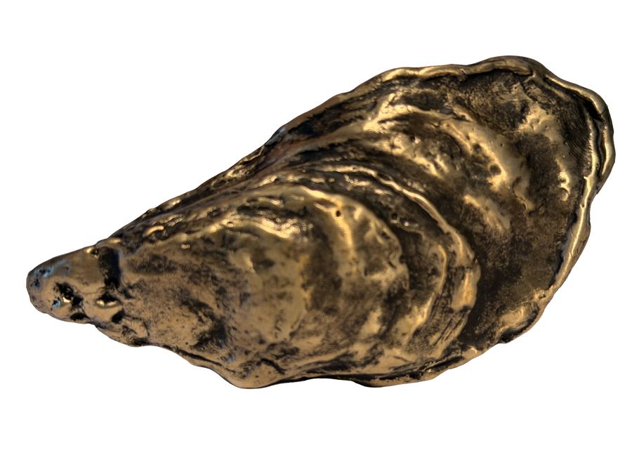 Oyster Shell Drawer Pull-Cabinet Handle
