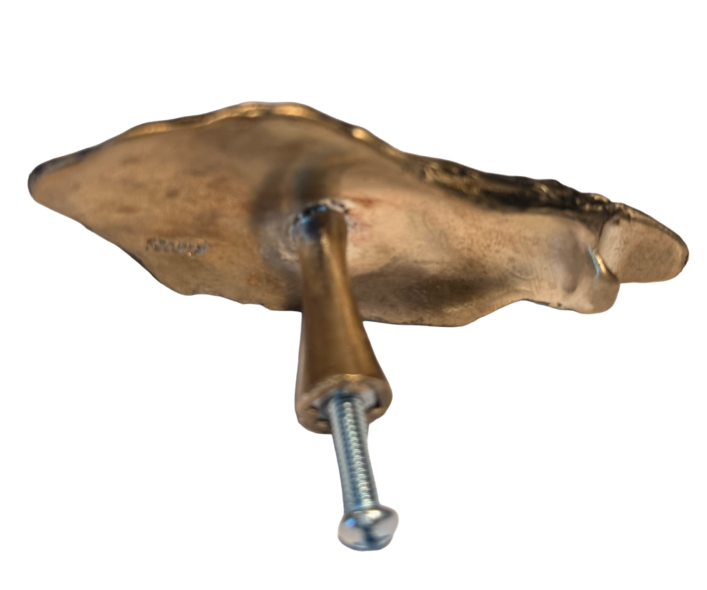 Oyster Shell Drawer Pull and Cabinet Handle