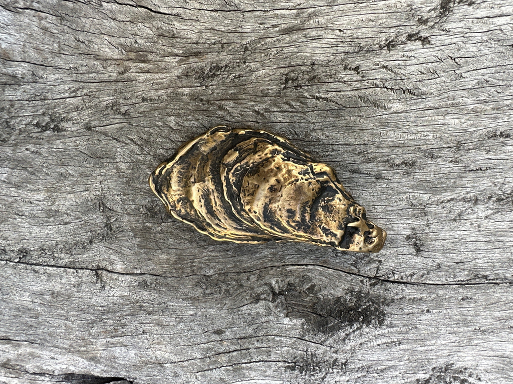 Oyster Shell Bottle Opener